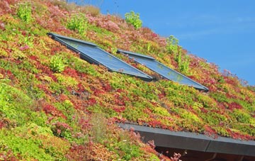 Hurley Bottom living roof systems